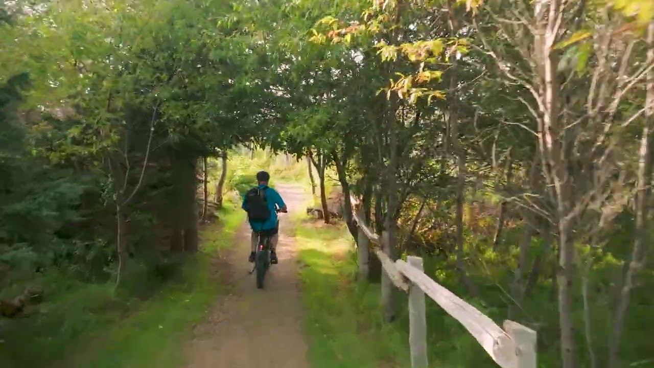 Cyclist riding a tree-lined section of the Confederation Trail near St. Peter's Bay, PEI